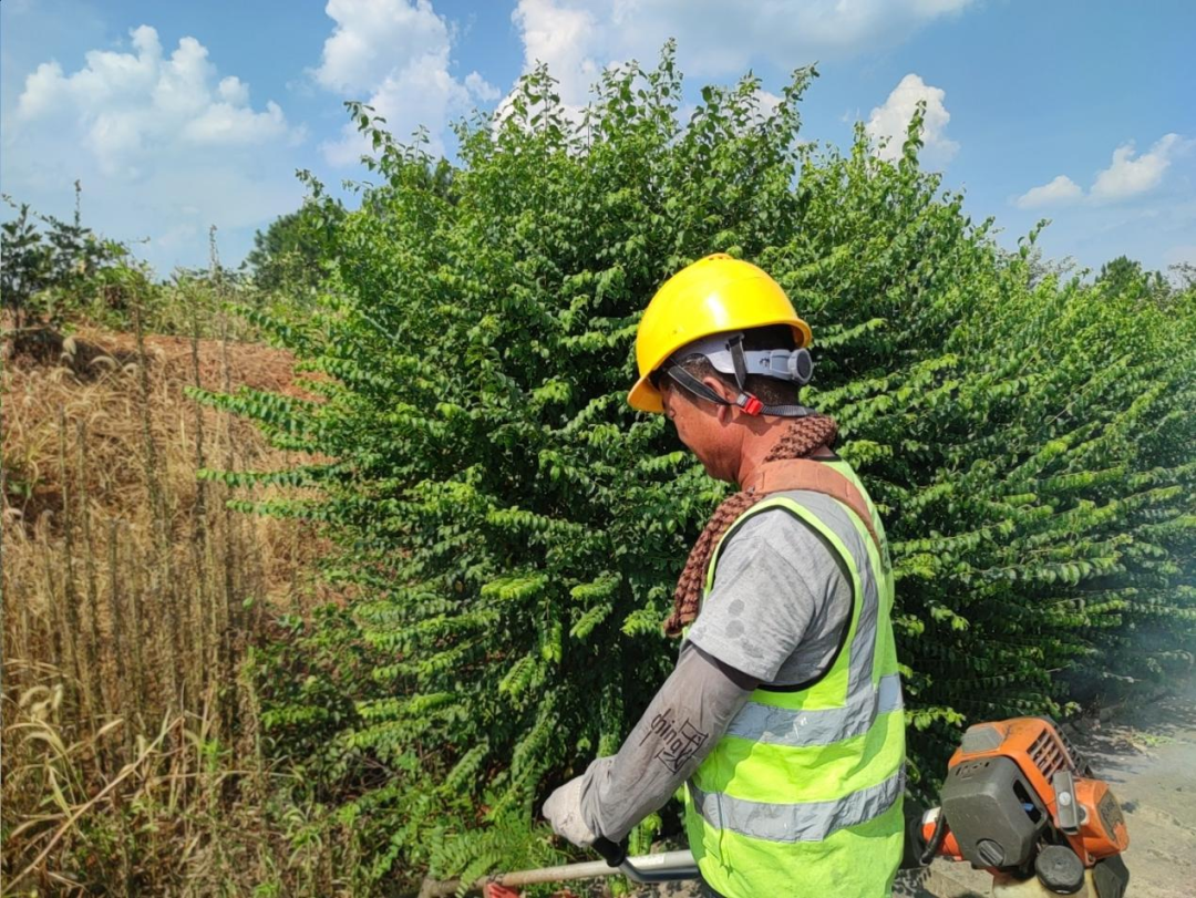 1754036524338165.png 47bc102688b05b71a756264e4fad76ab_640_wx_fmt=png&from=appmsg&randomid=6ardl1a6&tp=webp&wxfrom=5&wx_lazy=1.png